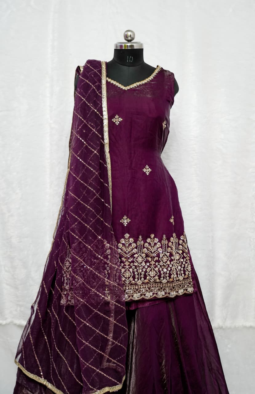 Elegant Desinger Lehenga Set - Image 3